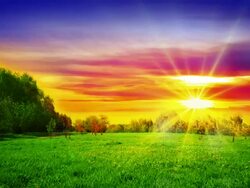 Sunrise and landscape Stock Footage