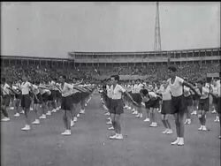 Sokol Demonstration In Prague News Clip
