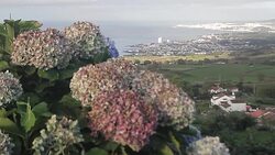 Portugal Aï¿½ores Sï¿½o Miguel Stock Footage