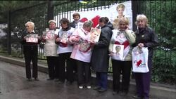 SENIOR EU PARLIAMENT MEMBER VISITS JAILED EX-PM Instructional Video