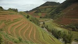 terraced rice field in Mu Chang Chai, Vietnam Stock Footage