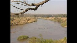 River in Kruger National Park News Clip