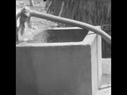 SYND 12 3 68 DEATHS AND FAMINE DUE TO POLLUTED GANGES WATER News Clip