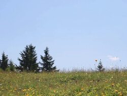 HD: Plateau Stock Footage