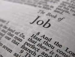 HD 1080i The Book of Job Stock Footage