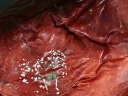 Decaying apple in time lapse video Stock Footage