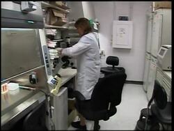 WHO official on vaccine, precautions, French minister News Clip