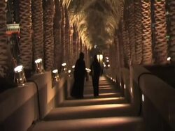 Doha Tribeca Film Festival 2009 - Day 1 Highlights Stock Footage