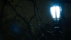 Street light in the rain Stock Footage