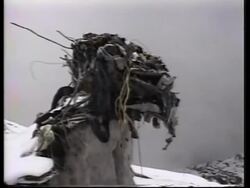 Investigators find frozen bodies in 30 year old plane crash Instructional Video