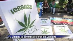 CLEAN: Una marcha por la marihuana News Clip