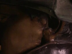 A bust of Napoleon Bonaparte rotates. Stock Footage