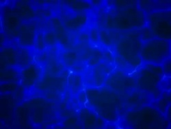 Caustic (Loopabe) Stock Footage