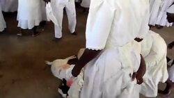 CLEAN : Haitian voodoo followers celebrate News Clip