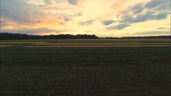 AERIAL Fields And Roads In The Pannonian Plain Stock Footage
