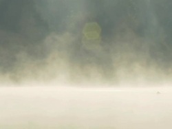 HD: Ducks On A Misty Lake Stock Footage