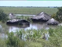 World - Distasters - Volcano in Ecuador / Floods in Mozambique and Bolivia / Kashmir avalanche / Bangladesh ferry capsizes News Clip