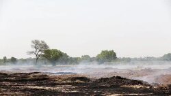Compost Fermentation Stock Footage