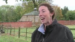 CLEAN : Pet pigs and real reindeer News Clip