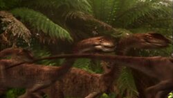 Dinosaurs roam through a foggy forest. Stock Footage