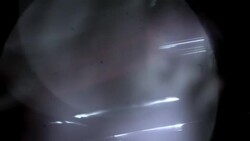 Chauffeur opens limousine door for hip-hop artist on red carpet at awards show Stock Footage