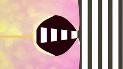 TED-ED: The evolution of the human eye - Joshua Harvey Instructional Video