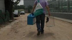 Rescuing captive birds in Beijing Instructional Video