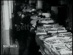 Newspapers distribution Instructional Video