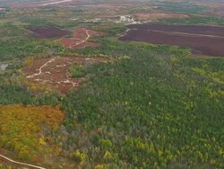 WS ARIEAL View of  Wooded area and fields / Maine, United States Stock Footage