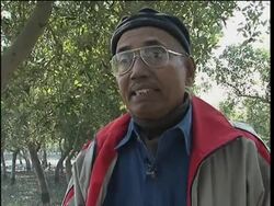 New census of tigers in the Sunderbans of India News Clip