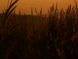 Sunrise at mountain Stock Footage