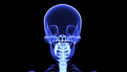 Loopable X-ray skull blue Stock Footage