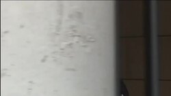 CLEAN : Lawyers of Belgium attack suspects arrive at court News Clip