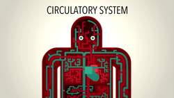 TED-Ed: How blood pressure works - Wilfred Manzano Instructional Video