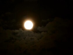 Full moon among clouds Stock Footage