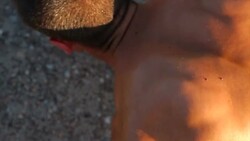 Man training Stock Footage