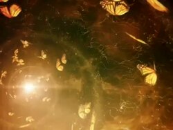 Butterfly spiral (orange, golden ratio) - Loop Stock Footage