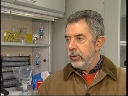 Tests planned as  toxins feared from rubbish strewn on the streets News Clip