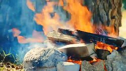 Bonfire for picnic Stock Footage