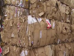 Piles of Cardboard Waste PAN Stock Footage