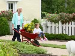 WS PAN Grandmother Pushing Young Granddaughter in Wheelbarrow through Yard / Richmond, Virginia, USA Stock Footage