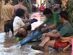 Floods raise disease risk in Indonesia News Clip