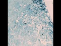 SYND 23-6-71 SALMON HATCHERY SCENES Instructional Video