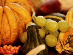 Pumpkin Stock Footage