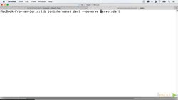 Learning Dart (Video 28) Instructional Video