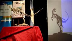 CLEAN : Replica of T Rexs vegetarian cousin presented in Argentina News Clip