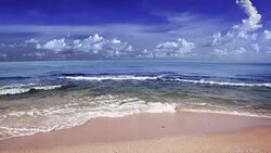 Tranquil Deserted Beach Stock Footage