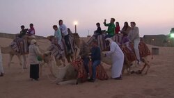 Camels, falconry and dune driving - a Dubai desert tour News Clip