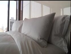 Travelling sports teams are big business for downtown Miami hotels. Some of those hotels are now offering rooms with accommodations for very tall guests, a trend that is spreading to other cities that professional athletes visit frequently. News Clip