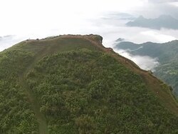 Forest mountain with moving top view Stock Footage